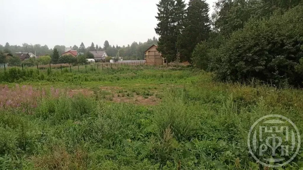 Участок в Ленинградская область, Ломоносовский район, Лопухинское ... - Фото 2