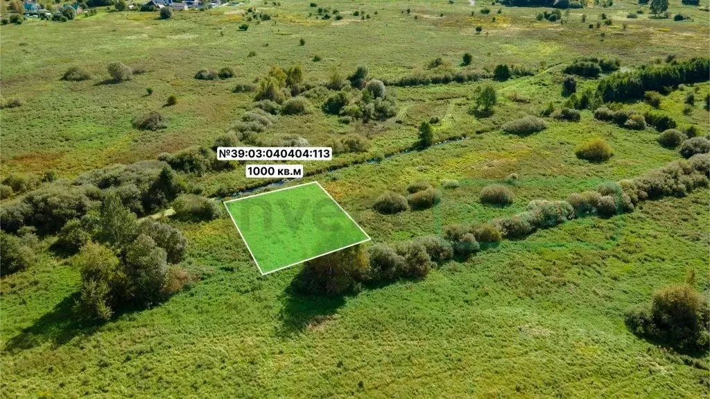 Участок в Калининградская область, Гурьевский муниципальный округ, ... - Фото 2