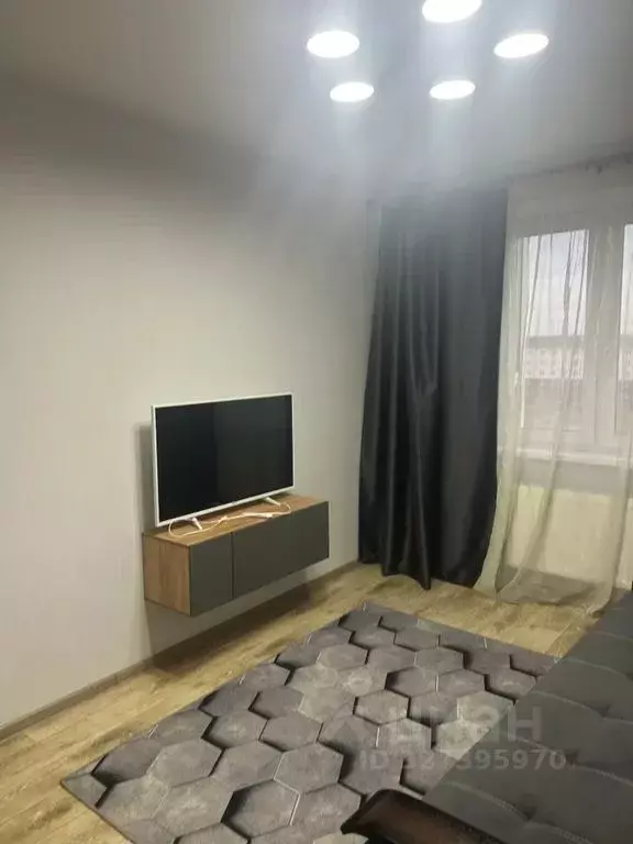 Студия Курганская область, Шадринск ул. Василия Черемисина, 5 (30.0 м) - Фото 2