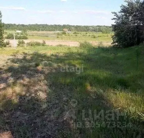 Участок в Воронежская область, Рамонский район, с. Березово ул. ... - Фото 0