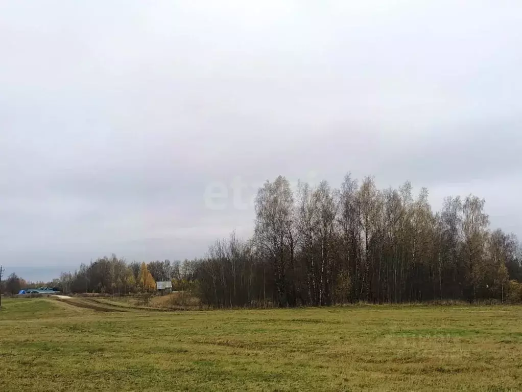 Участок в Владимирская область, Кольчугинский муниципальный округ, д. ... - Фото 2
