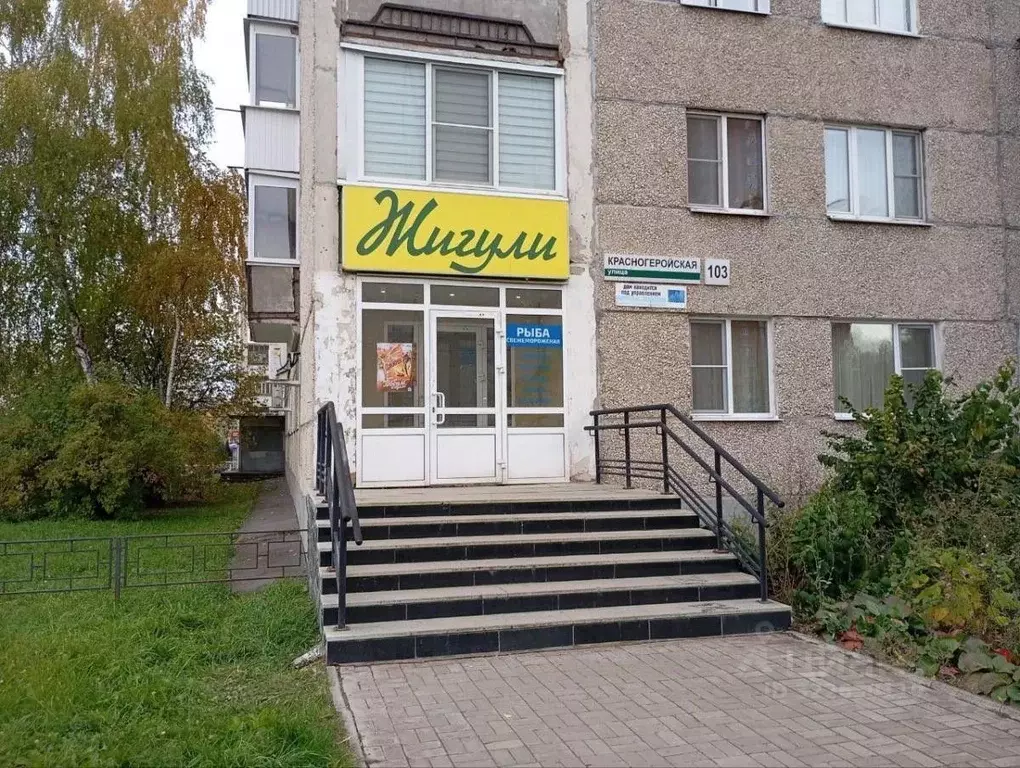 Помещение свободного назначения в Удмуртия, Ижевск Красногеройская ... - Фото 1