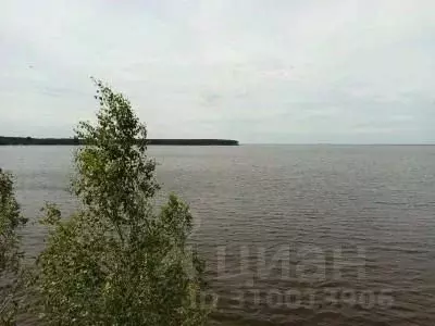 Участок в Нижегородская область, Сокольский городской округ, д. ... - Фото 0