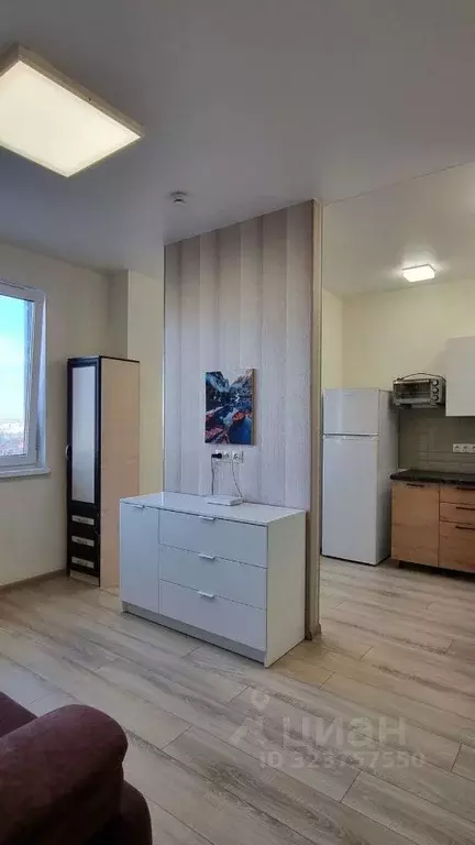 Студия Белгородская область, Белгород ул. Каштановая (27.2 м) - Фото 1