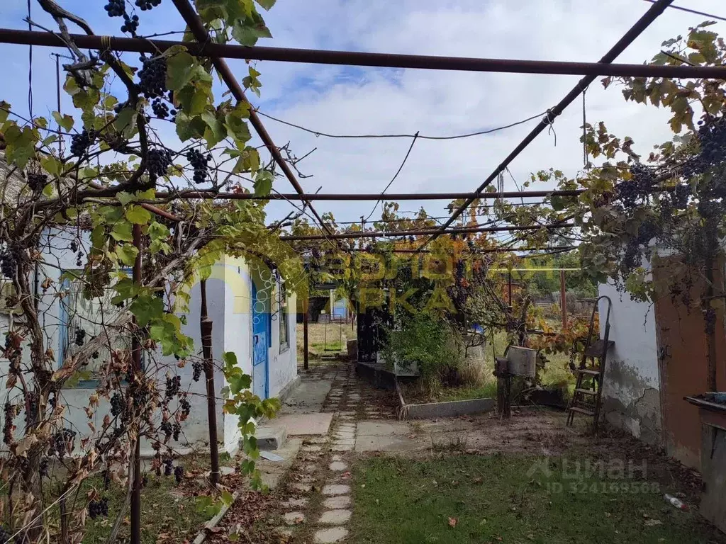 Дом в Краснодарский край, Темрюк ул. Карпузи, 7 (37 м) - Фото 2