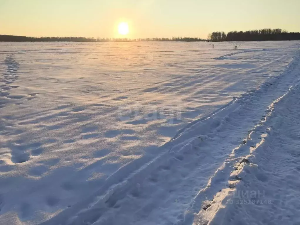 Участок в Челябинская область, Аргаяшский муниципальный округ, д. ... - Фото 1