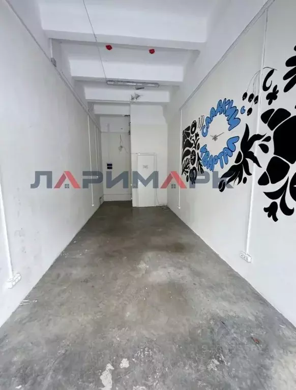 Помещение свободного назначения в Москва 2-й Вольный пер., 11 (20 м) - Фото 2