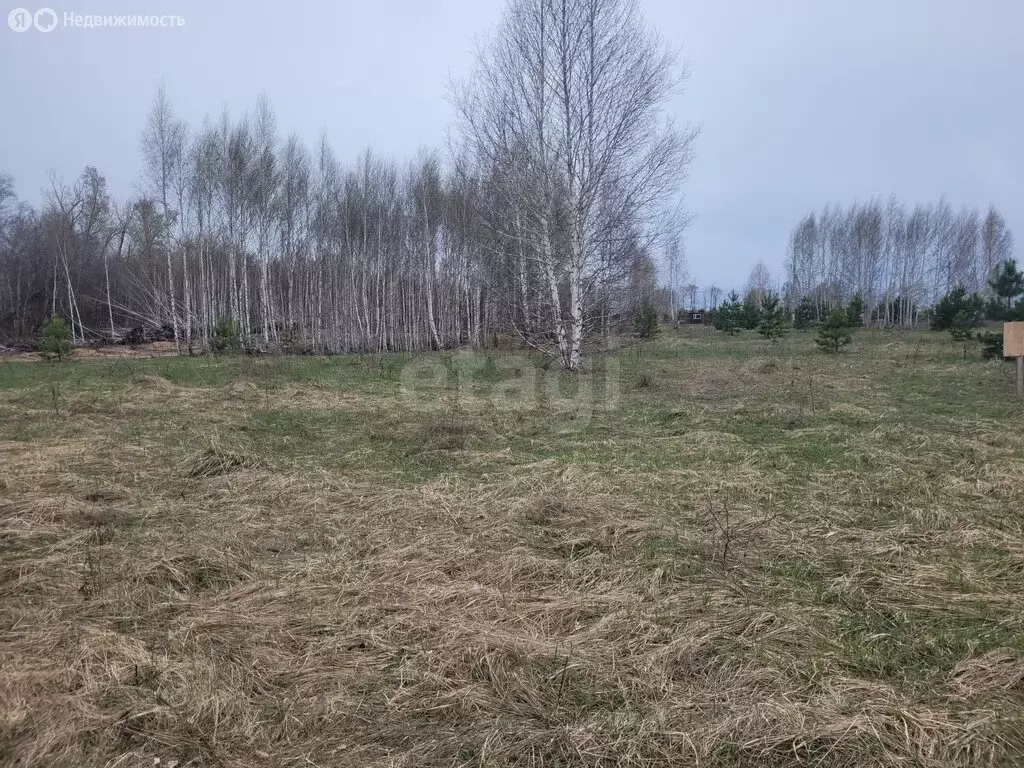 Участок в Ульяновск, СТ Лесной (8 м) - Фото 2