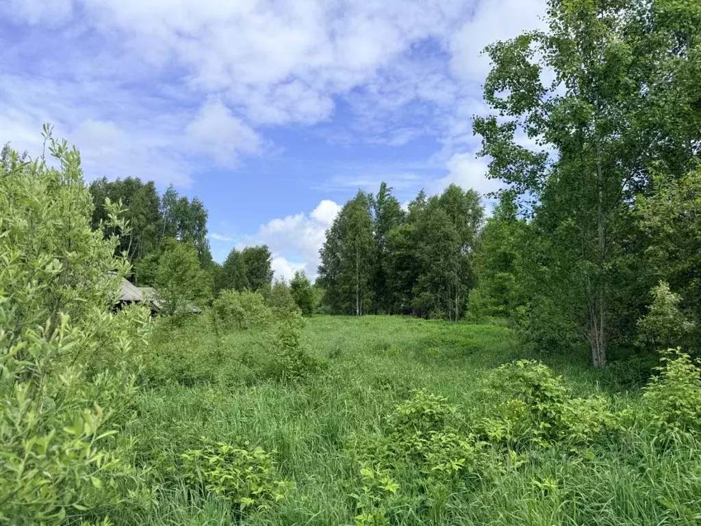 Дом в Нижегородская область, Воскресенский муниципальный округ, д. ... - Фото 2