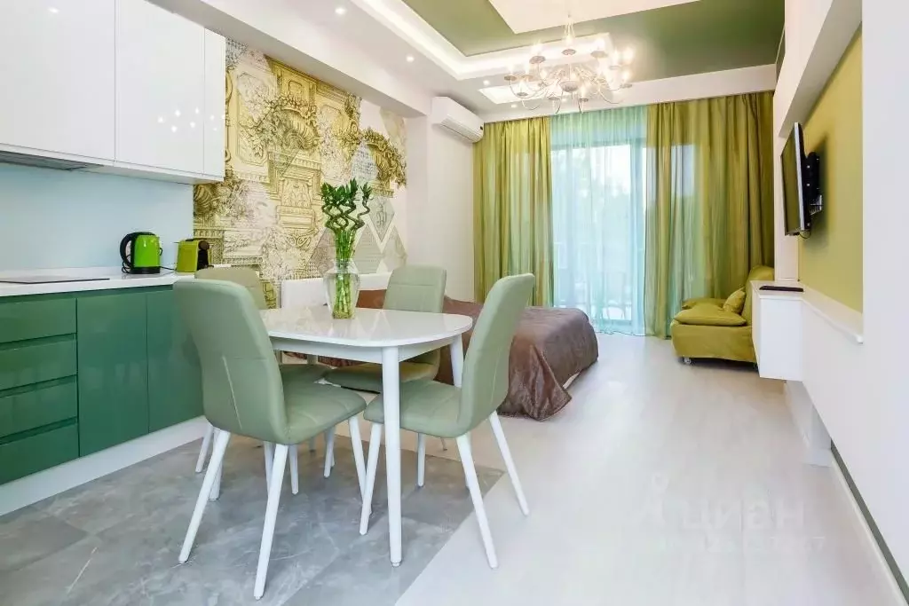 1-к кв. Краснодарский край, Сочи Курортный просп., 105 (45.0 м) - Фото 1