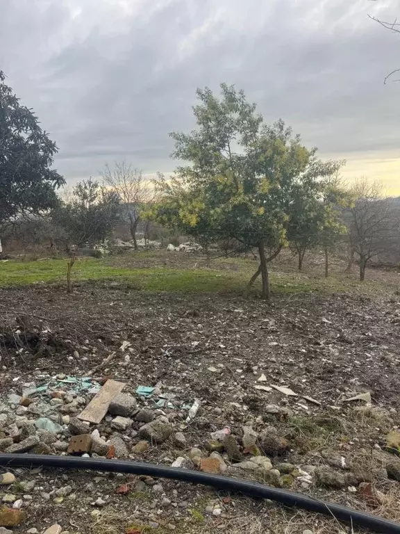 Участок в Краснодарский край, Сочи городской округ, с. Черешня ул. ... - Фото 1