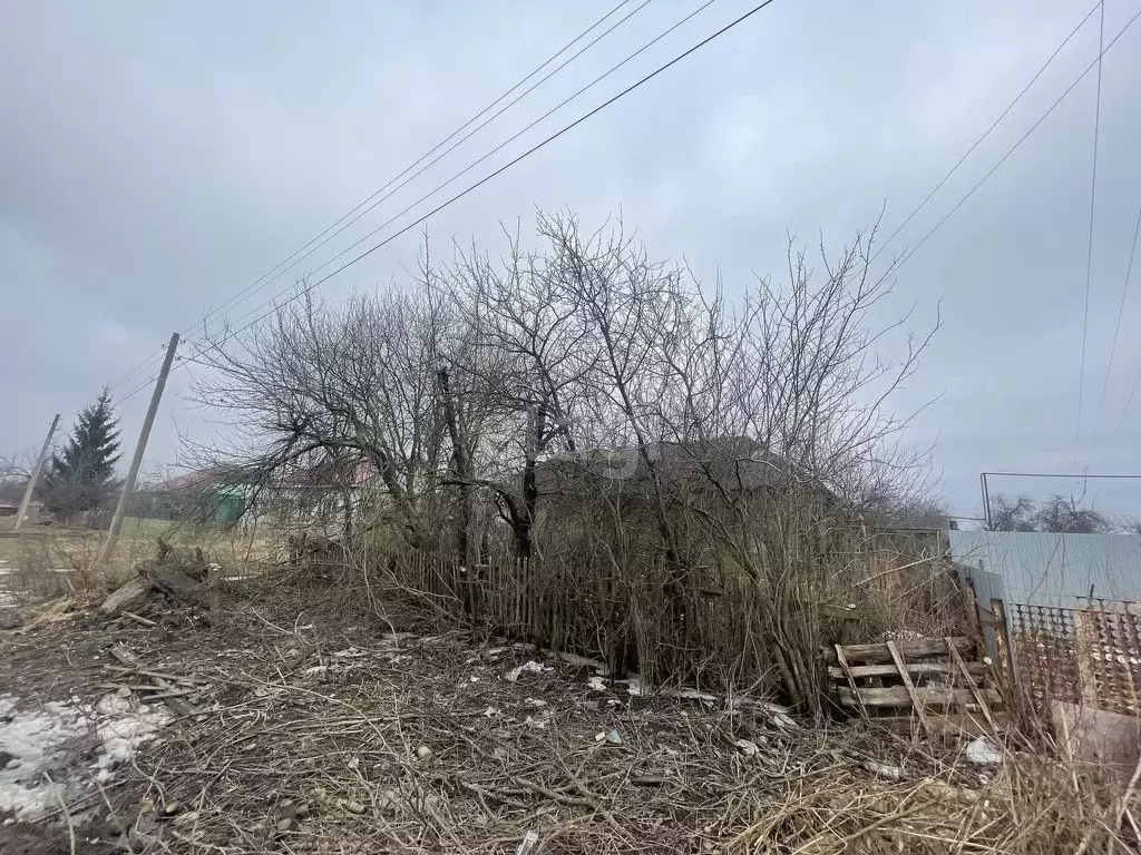 Дом в Тамбовская область, Тамбовский муниципальный округ, с. Столовое ... - Фото 0