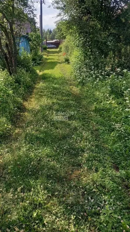 Участок в Ивановская область, Иваново пос. Дальний,  (4.92 сот.) - Фото 2