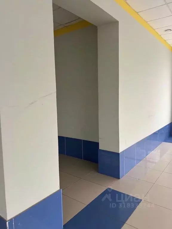 Помещение свободного назначения в Белгородская область, Белгород ул. ... - Фото 1
