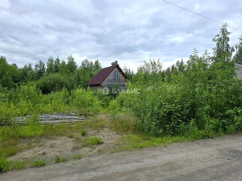 Участок в Карелия, Пряжинский район, пос. Эссойла Молодежная ул. (14.7 ... - Фото 1