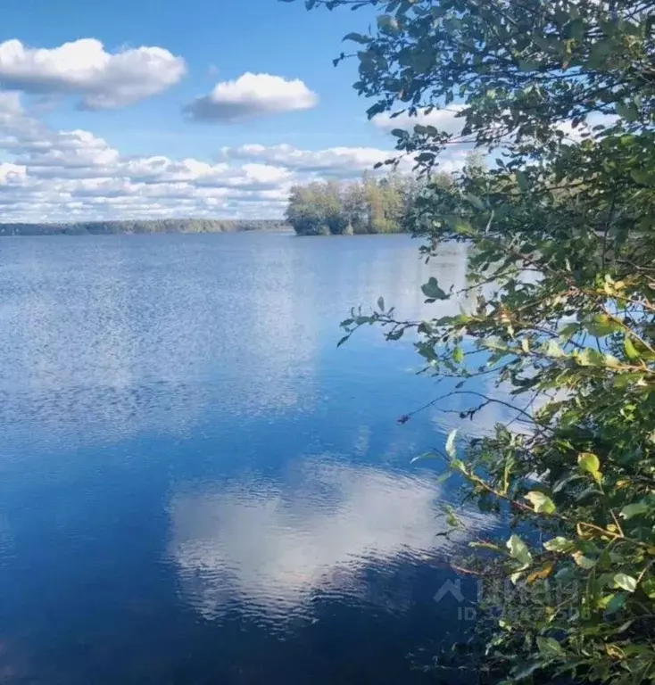 Участок в Ленинградская область, Выборгский район, Полянское с/пос, ... - Фото 1