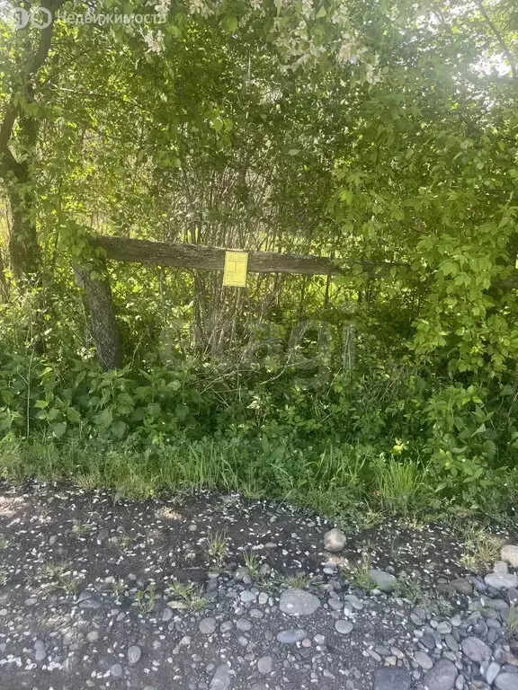 Участок в село Кызыл-Озек, Ипподромная улица (6.31 м) - Фото 2