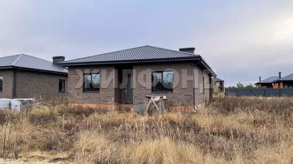 Участок в Воронежская область, Рамонский район, Новоживотинновское ... - Фото 1