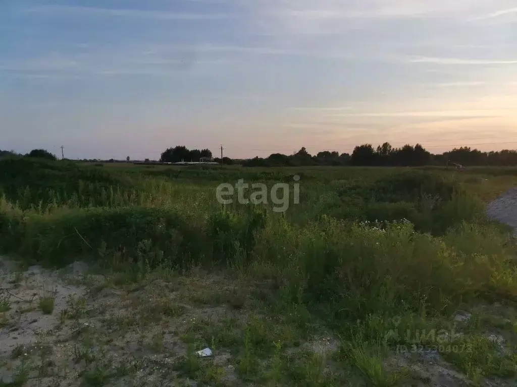 Участок в Калининградская область, Гурьевский муниципальный округ, ... - Фото 1