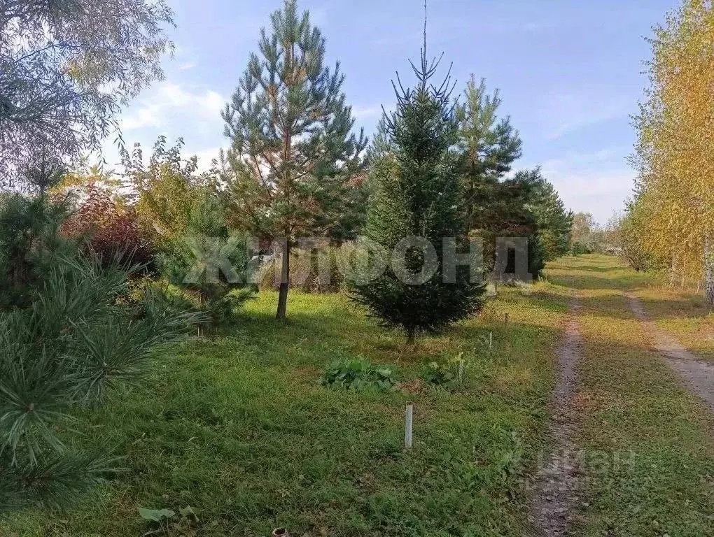 Участок в Новосибирская область, Колыванский район, Аква СНТ  (12.0 ... - Фото 2