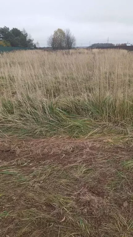 Участок в Московская область, Можайский муниципальный округ, д. ... - Фото 1