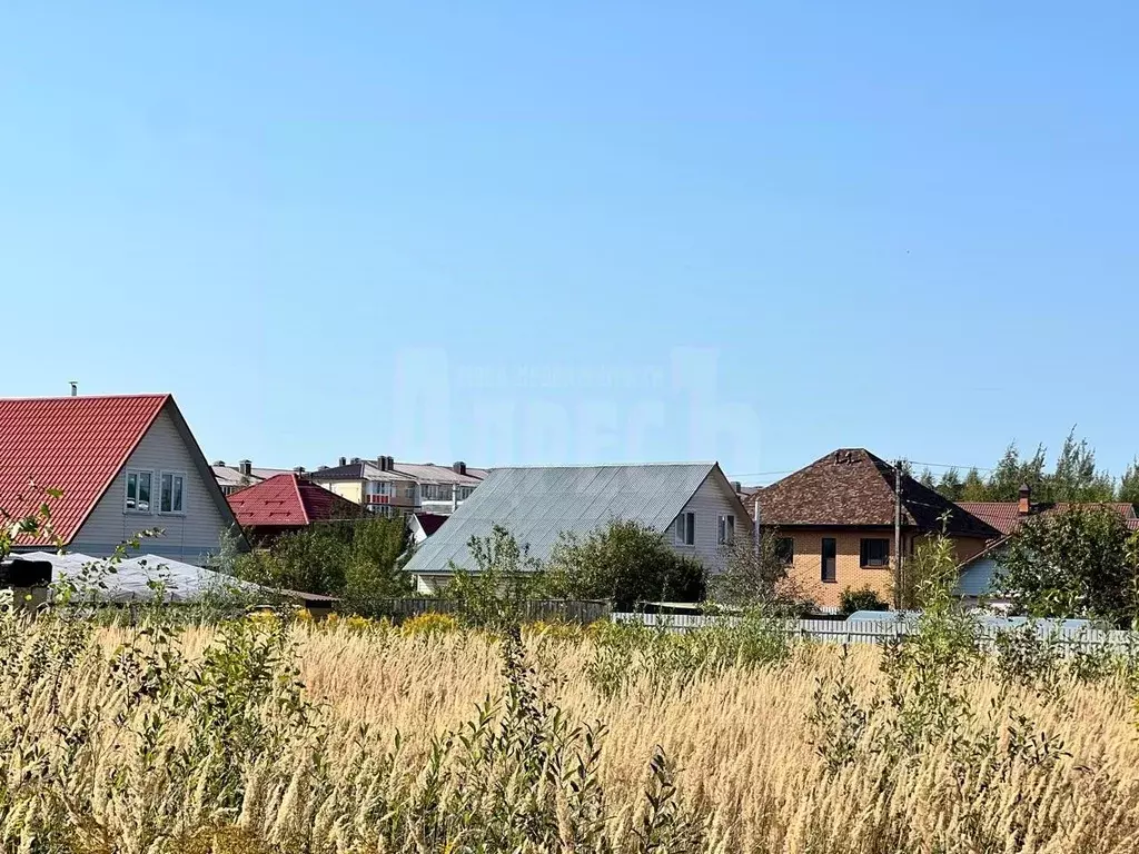 Участок в Калужская область, Совхоз Боровский с/пос, д. Кабицыно ул. ... - Фото 2