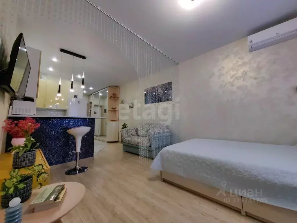 Студия Московская область, Пушкино Набережная ул., 2а (28.3 м) - Фото 2