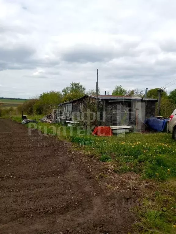 Участок в Нижегородская область, Большемурашкинский муниципальный ... - Фото 1