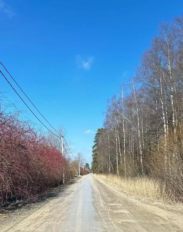 Участок в Ленинградская область, Гатчинский район, Авангард-1 СНТ 62 ... - Фото 1