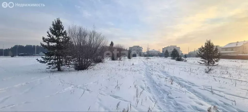 Участок в Электроугли, микрорайон Светлый (17.7 м) - Фото 1