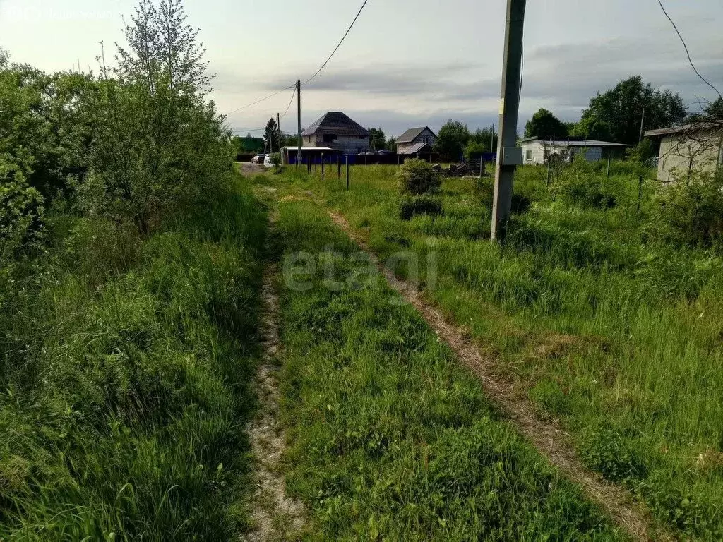 Участок в Калининградская область, Гурьевский муниципальный округ, ... - Фото 0