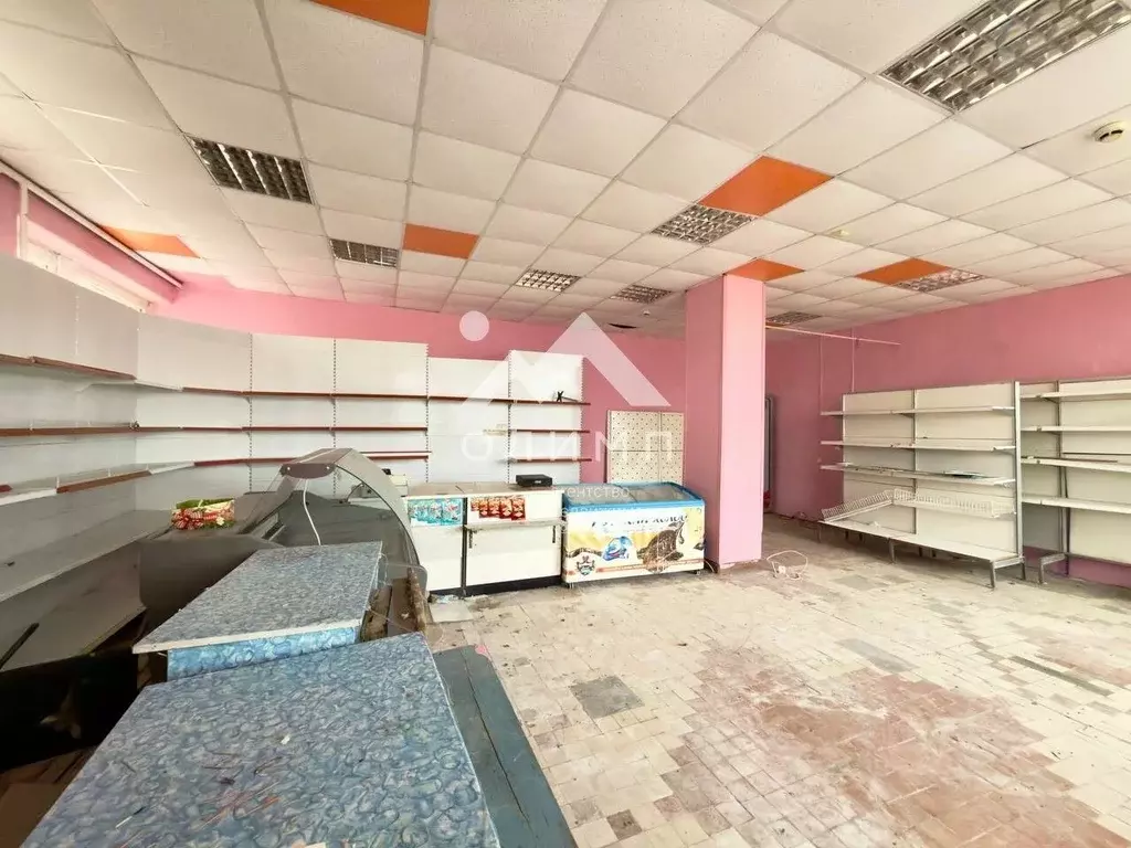 Помещение свободного назначения в Вологодская область, Междуреченский ... - Фото 1