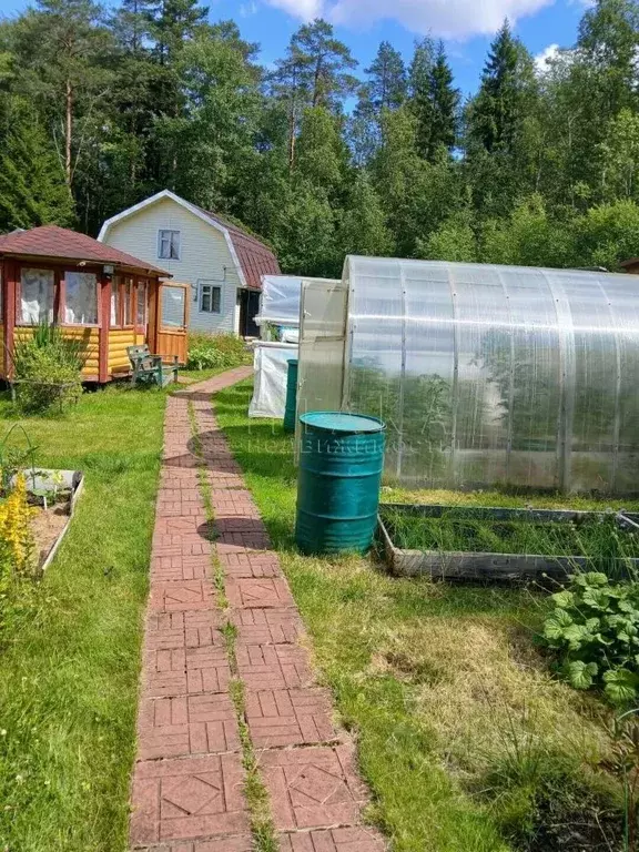 Дом в Ленинградская область, Приморск Рябинка СНТ, 48 (36 м) - Фото 1