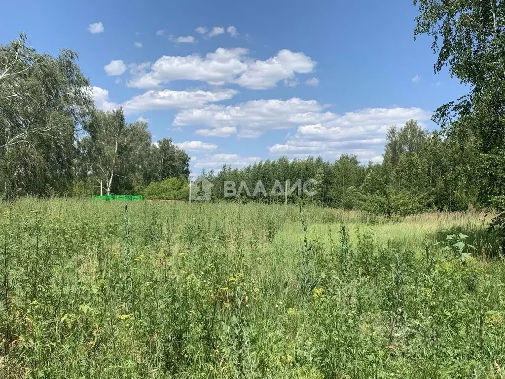 Участок в Воронежская область, Воронеж ул. Совхозная, 21 (8.0 сот.) - Фото 1