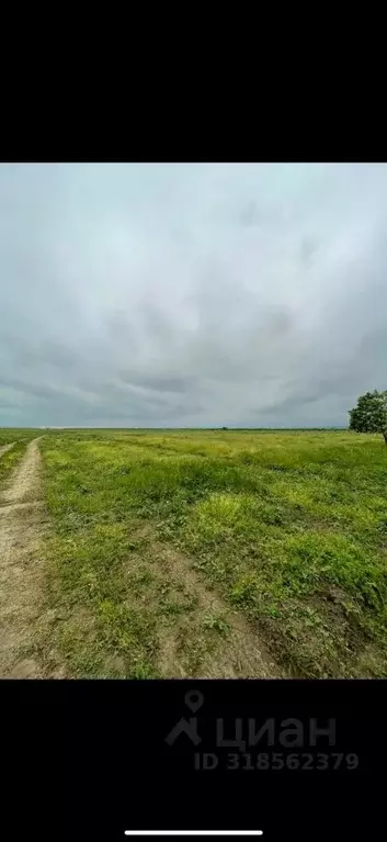 Участок в Чеченская республика, Грозный Спутник ДНТ, 14-й кв-л, 14 ... - Фото 0