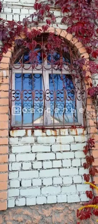 Коттедж в Рязанская область, Рязань ул. Элеваторный заулок, 12 (226 м) - Фото 2