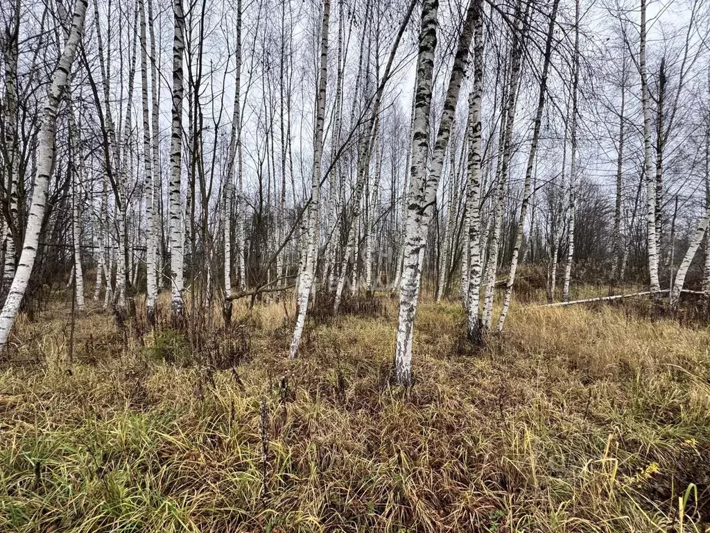Участок в Московская область, Сергиев Посад ул. Суворицкая (10.0 сот.) - Фото 1