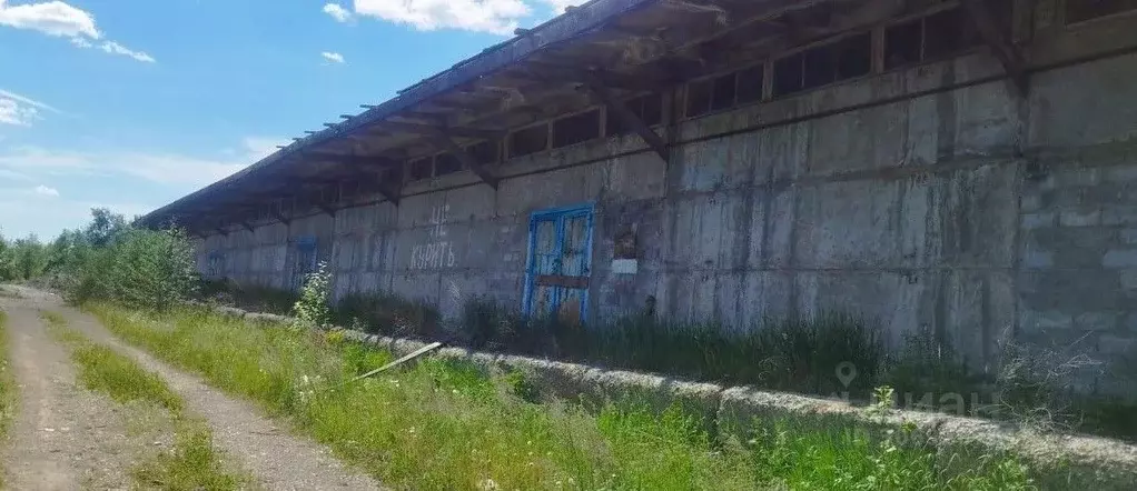 Склад в Свердловская область, Новолялинский городской округ, пос. ... - Фото 0