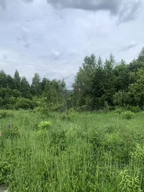 Участок в Калужская область, Перемышльский район, Большие Козлы с/пос, ... - Фото 2