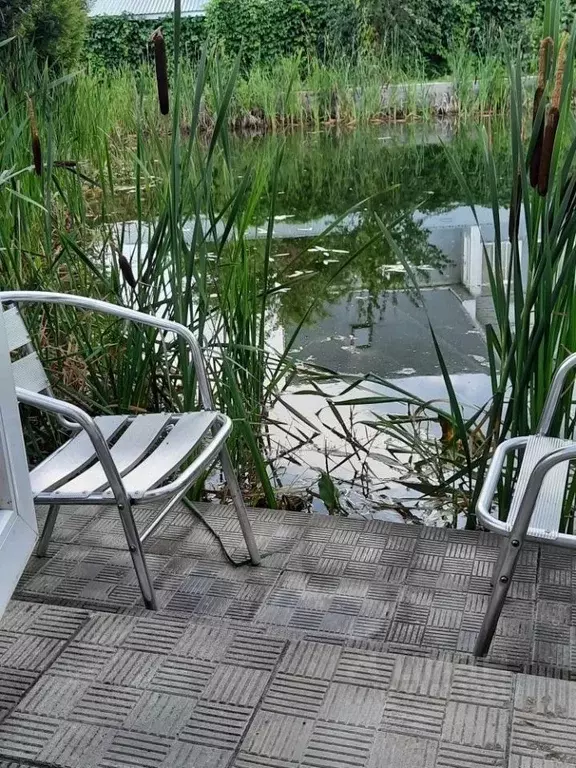 Дом в Московская область, Истра муниципальный округ, д. Борзые ул. ... - Фото 2