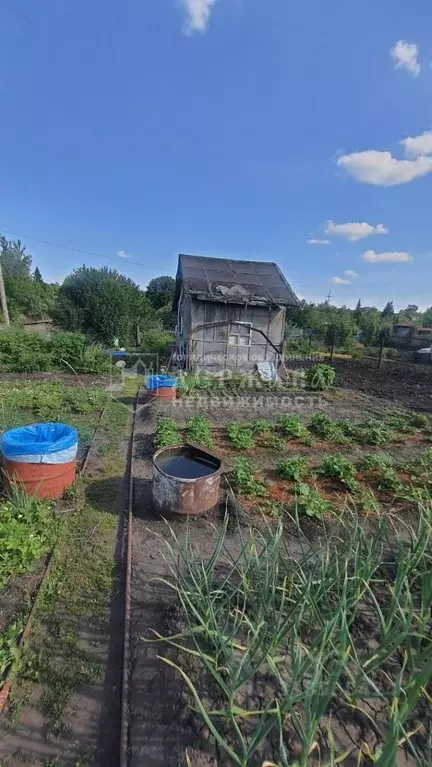 Участок в Кемеровская область, Кемерово Отделение Южное СНТ, 539 (3.8 ... - Фото 0