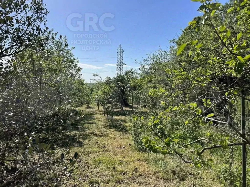 Участок в Краснодарский край, Сочи городской округ, с. Нижняя Шиловка ... - Фото 1