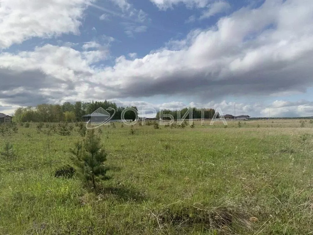 Участок в Тюменская область, Тюменский муниципальный округ, ... - Фото 2