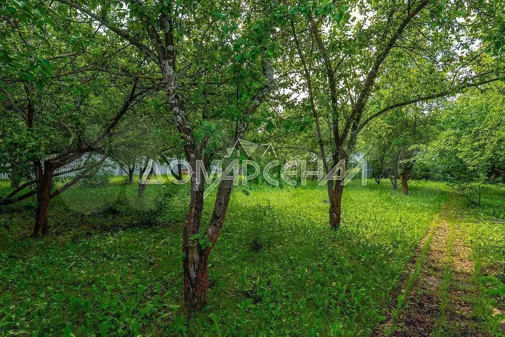 Участок 15 сот. (ИЖС) - Фото 0
