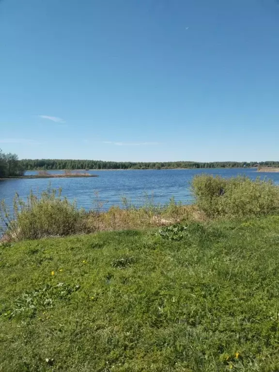 Участок в Ярославская область, Мышкинский муниципальный округ, д. ... - Фото 1
