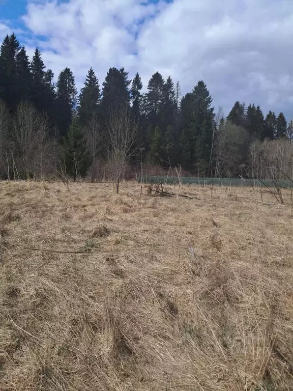 Участок в Ленинградская область, Волосовский район, Клопицкое с/пос  ... - Фото 1