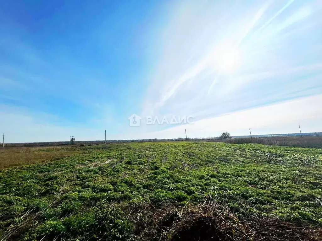 Участок в Башкортостан, Стерлитамакский район, Казадаевский сельсовет, ... - Фото 1