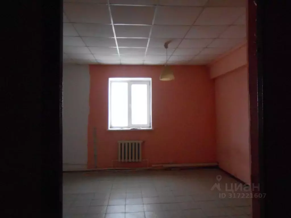 Помещение свободного назначения в Челябинская область, с. Еткуль ул. ... - Фото 1