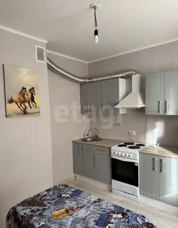 2-к кв. Курская область, Курск ул. Домостроителей, 8 (54.2 м) - Фото 1
