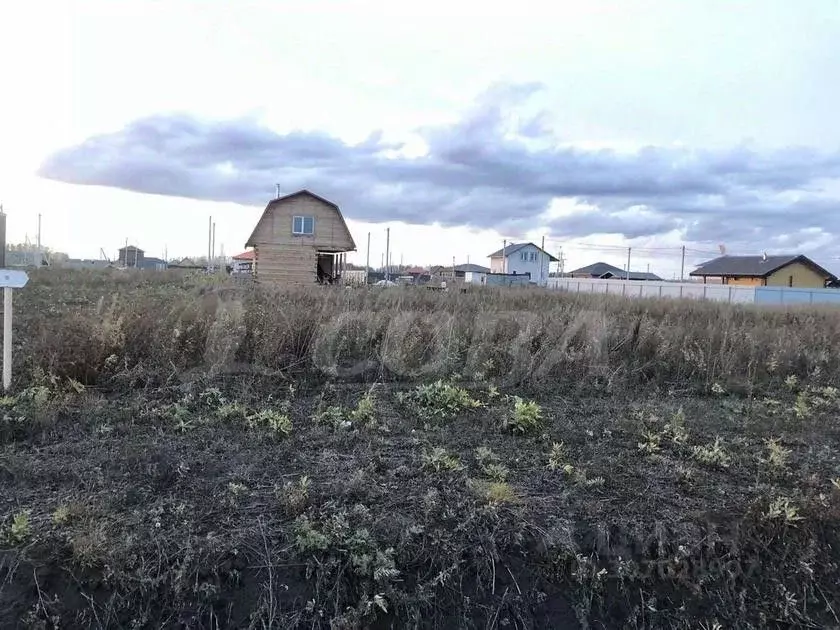 Участок в Тюменская область, Тюменский район, д. Малиновка, Малиновка ... - Фото 0